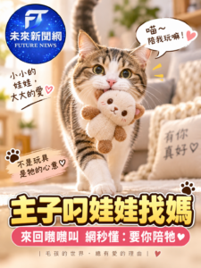 貓咪叼娃娃找媽媽來回叫　飼主看不懂求助　網友秒解：要你陪牠玩