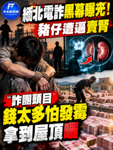 緬北電詐黑幕曝光！受害者遭逼「賣腎抵債」　詐團頭目現金多到發霉竟搬上屋頂曬