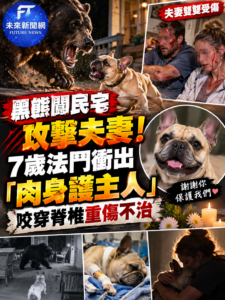 黑熊闖民宅攻擊夫妻！7歲法鬥「肉身護主」重傷不治　飼主淚崩：牠救了我們